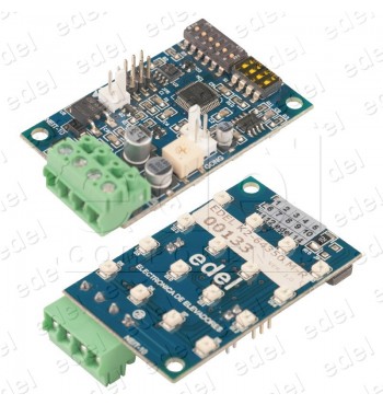 PLACA FLECHAS MASTER ROJO - K2-64350-M-R