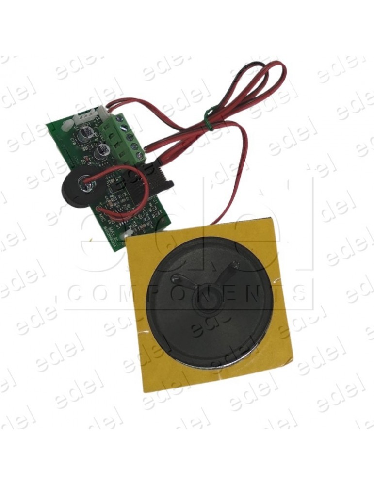 MODULO DE AUDIO DEL MK-793