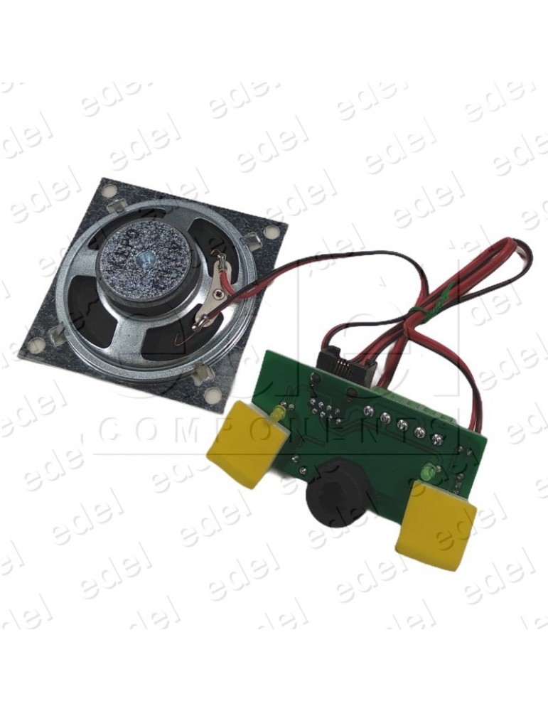 MODULO DE AUDIO DEL MK-793